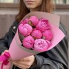 7 розовых пионов Флеминг